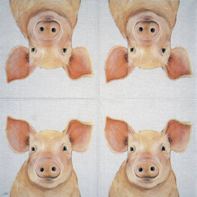 Paper Napkin - Farm Pig cream