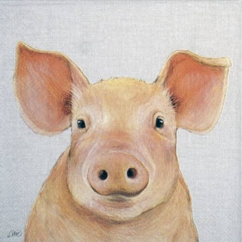 Paper Napkin - Farm Pig cream