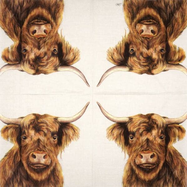 Single Decoupage Napkin - Farm Highland Cattle cream - Image 2