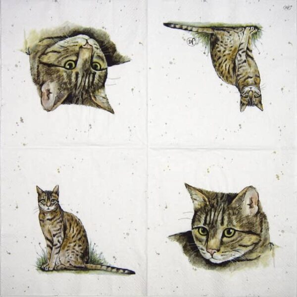 Paper Napkins - Farmfriends Cat (20 pieces)