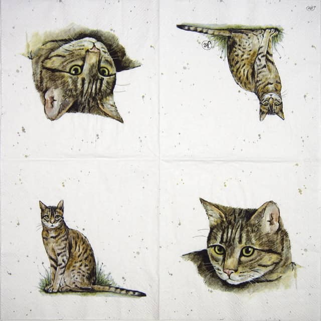 Paper-napkin-IHR-Farmfriends-Cat-860100