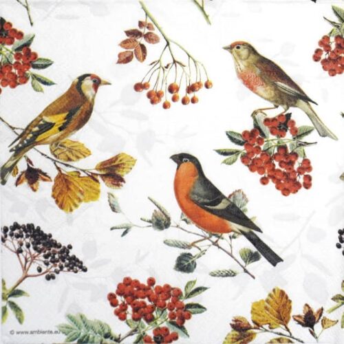 Cocktail Decoupage Napkin - Autumn birds