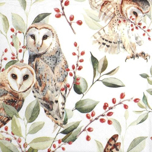 Cocktail Decoupage Napkin - Barn owl couple white