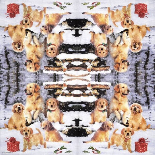 Single Decoupage Napkin - Golden retriever puppies