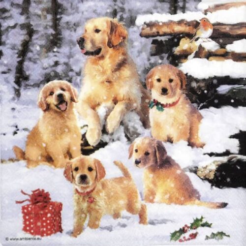 Single Decoupage Napkin - Golden retriever puppies