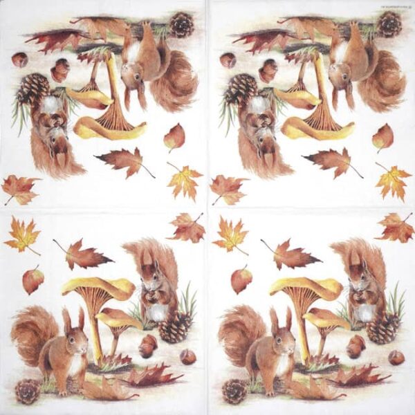 Paper Napkins - Squirrels go nuts (20 pieces)