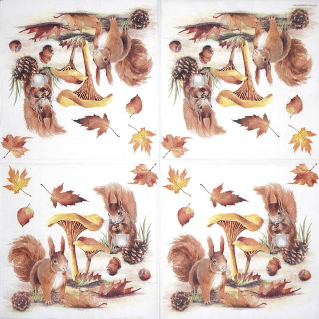 Paper-napkin-Ambiente-Squirrel-go-nuts-13318820