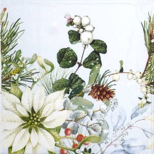 Single Decoupage Napkin - White poinsettia