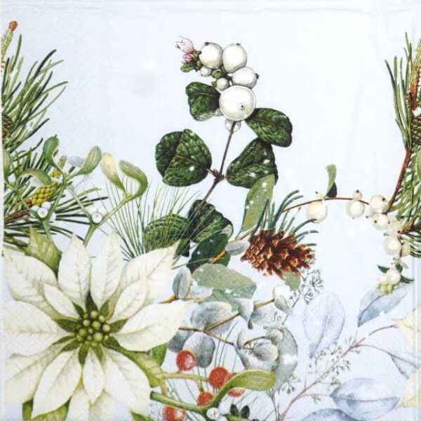 Paper Napkin - White poinsettia