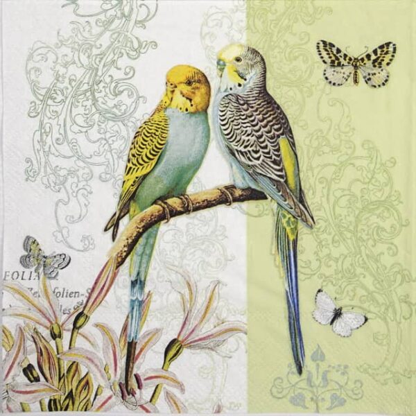 Paper Napkin - Budgies green