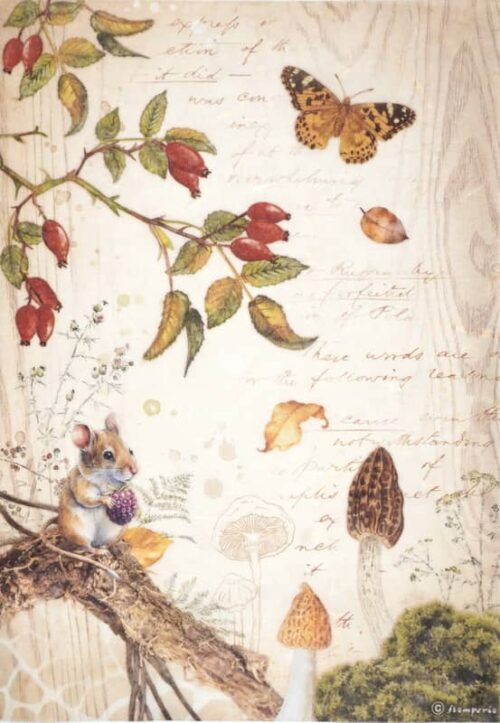 Stamperia Rice Paper A4 - Woodland - Butterfly - DFSA4817