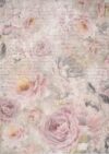 Stamperia Rice Paper A4 - Shabby Rose - Roses Pattern - DFSA4877