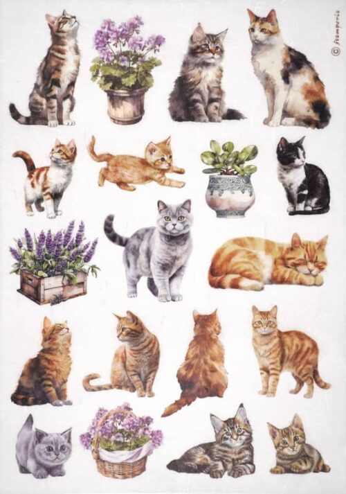 Stamperia Rice Paper A4 - Cats - DFSA4887