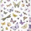 Stamperia Rice Paper A4 - Butterflies - DFSA4891