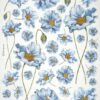 Stamperia Rice Paper A4 - Blue Flowers - DFSA4893