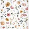 Stamperia Rice Paper A4 - Floral Collection - DFSA4897