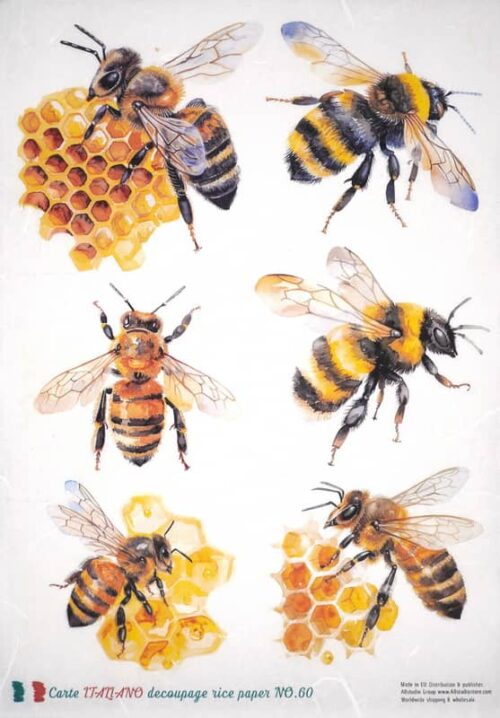 Detailed illustrations of bees and honeycombs on vintage-style paper. Ideal for bee-themed crafts and decorations