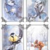 AB Studio Decoupage Rice Paper  A/4 - Winter Birds and Squirrel Scenes