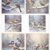 AB Studio Decoupage Rice Paper  A/4 - Winter Birds on Snowy Branches - 2360