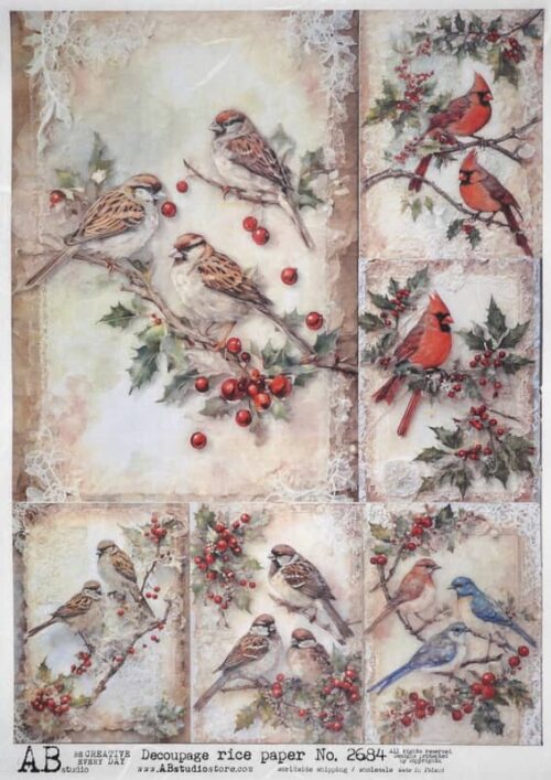 AB Studio Decoupage Rice Paper  A/4 - Vintage Winter Birds on Branches - 2684