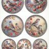 AB Studio Decoupage Rice Paper  A/4 - Vintage Birds & Berries Craft Circles - 2690