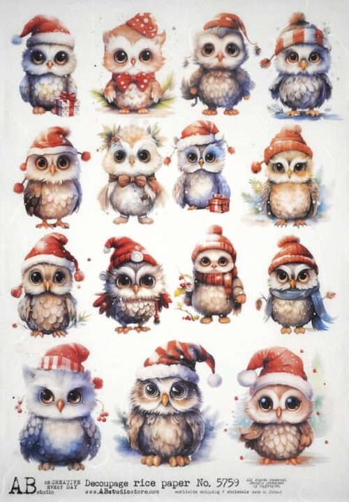 AB Studio Decoupage Rice Paper  A/4 - Whimsical Owls in Winter Attire - 5759