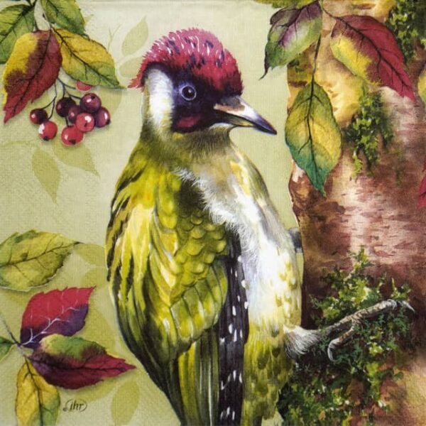 Paper Napkin - Green woodpecker