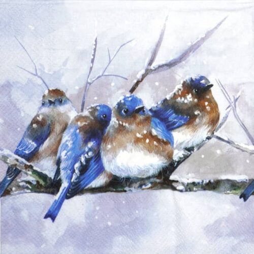 Paper Napkin - Cuddly Birdies blue