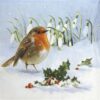 Single Paper Napkin - Robin, Holly & Snowdrops