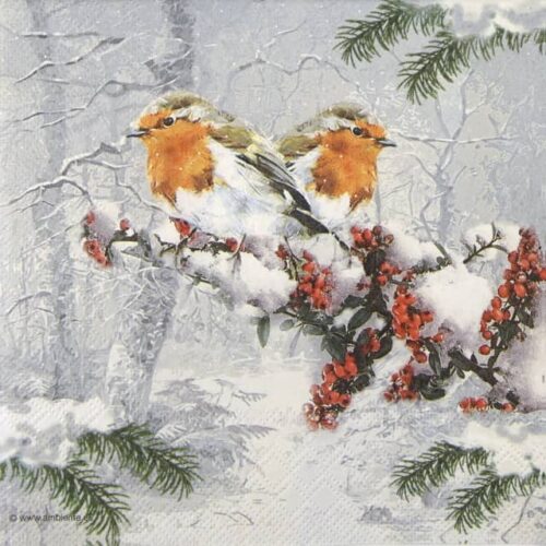 Cocktail Napkins - Winter Birds (20 pieces)