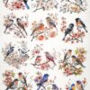 AB Studio Decoupage Rice Paper  A/4 - Vintage Bird Collage Design - 84