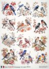 AB Studio Decoupage Rice Paper  A/4 - Vintage Bird Collage Design - 84