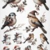 A collection of illustrated birds adorned with festive Christmas accessories like Santa hats and scarves set against a neutral background.