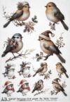 A collection of illustrated birds adorned with festive Christmas accessories like Santa hats and scarves set against a neutral background.