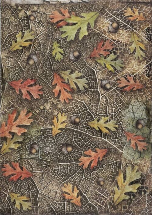 Stamperia A/4 Rice Paper - Forest Acorns and Leaves - DFSA4953