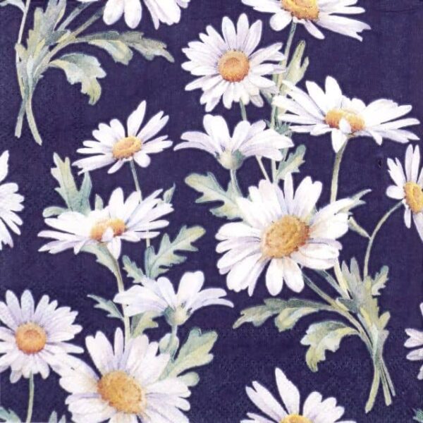 Paper Napkin - Beautiful daisies blue