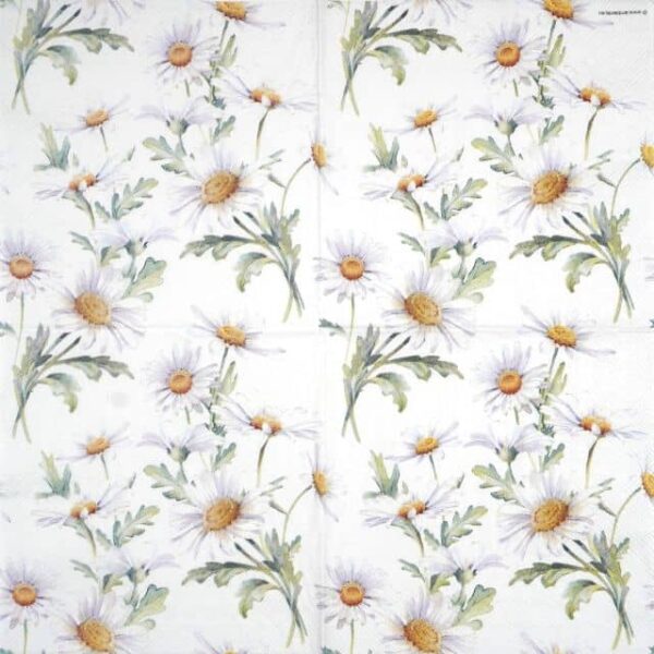 Paper Napkin - Beautiful daisies white