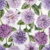 Paper Napkin - Dahlias in bloom