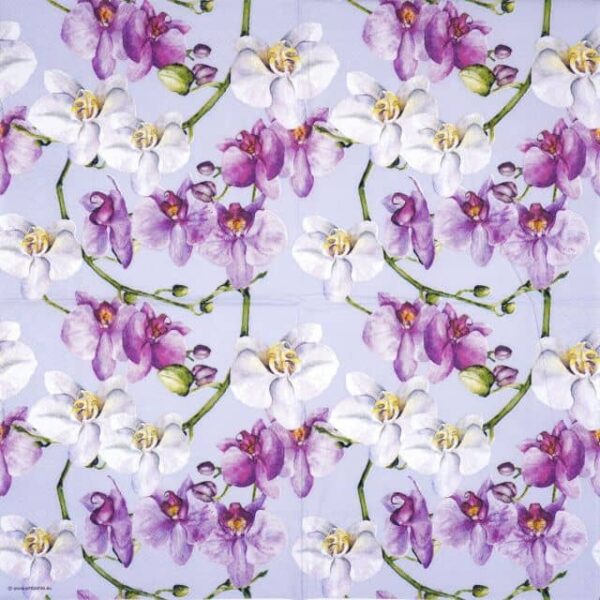 Paper Napkin - Elegant orchids blue