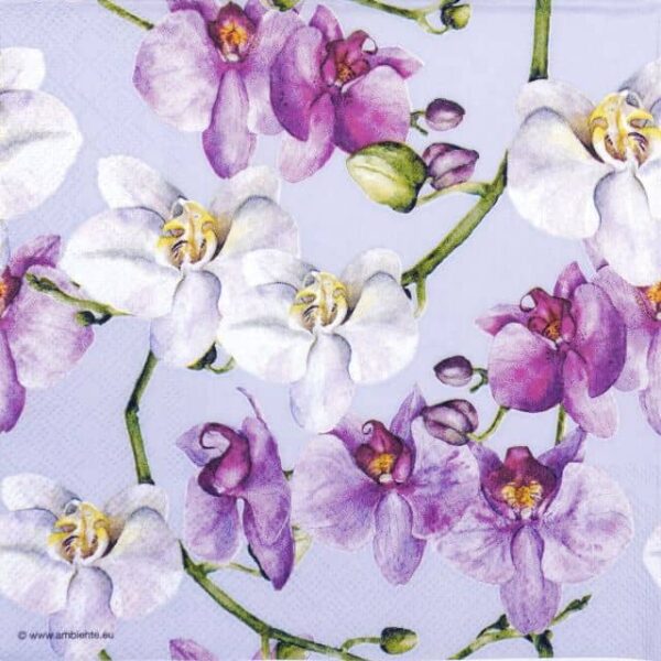 Paper Napkin - Elegant orchids blue