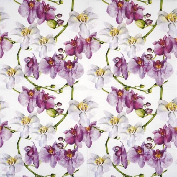 Paper Napkin - Elegant orchids white