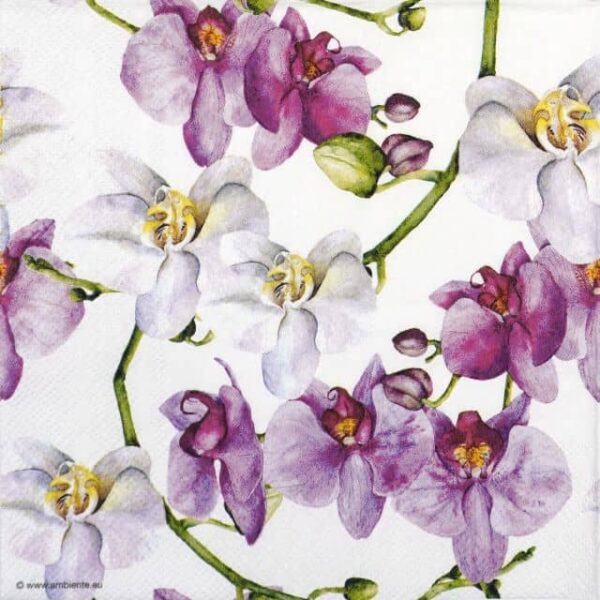 Paper Napkin - Elegant orchids white