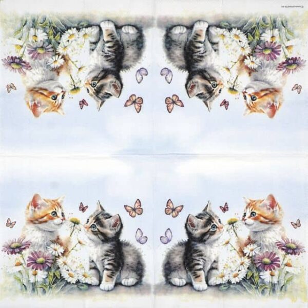 Paper Napkin - Kittens in flower field