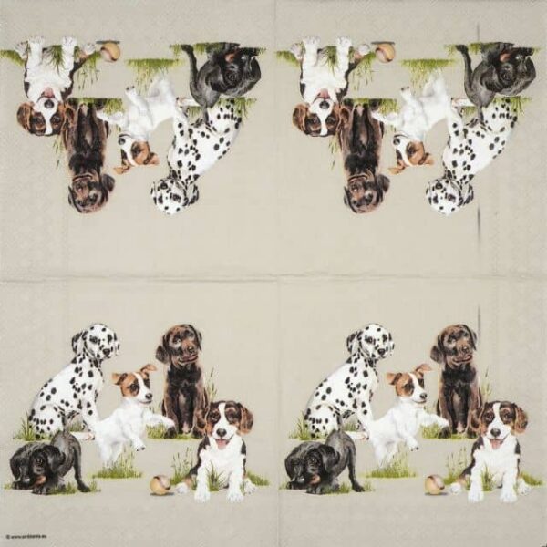 Paper Napkin - Playing puppies