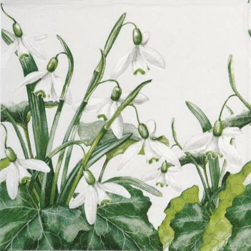 Paper Napkin - Snowdrops white