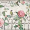 Stamperia Rice Paper 33x49cm - Garden with Roses and Bird DFS367