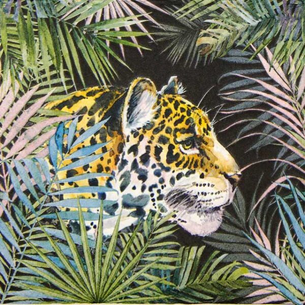 a leopard in the jungle