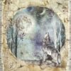 Stamperia Rice Paper A4 - Cosmos Wolf & Moon DFSA4388