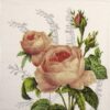 Lunch Napkins (20) - Wonderful Rose