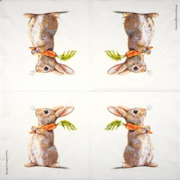 Paper Napkin - Rabbit & Carrot